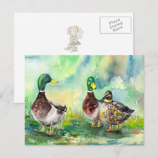 eenden briefkaart (Voorkant / Achterkant)