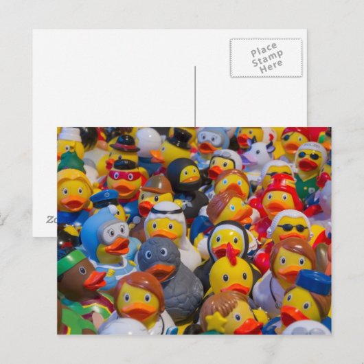 Eenden Briefkaart (Voorkant / Achterkant)