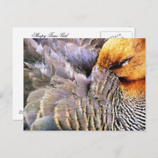 EENDEN BRIEFKAART (Voorkant / Achterkant)