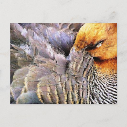 EENDEN BRIEFKAART (Voorkant)