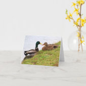 Eenden briefkaart (blanco) (Gele Bloem)
