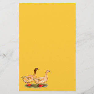 Eenden: Buff Orpington Briefpapier