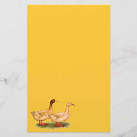 Eenden: Buff Orpington Briefpapier (Voorkant)