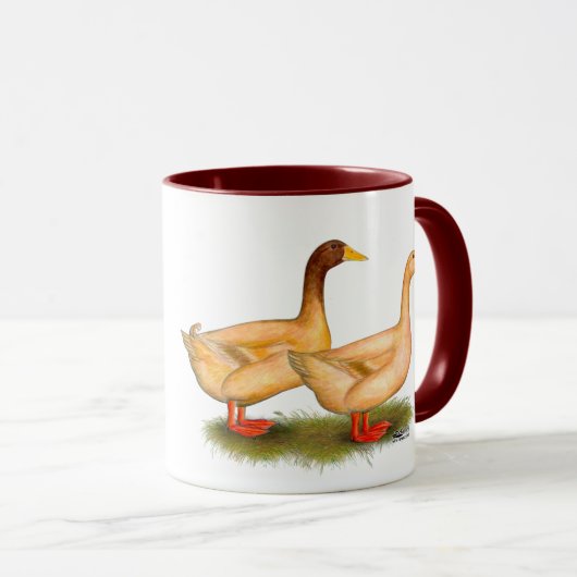 Eenden: Buff Orpington Mok (Voorkant rechts)