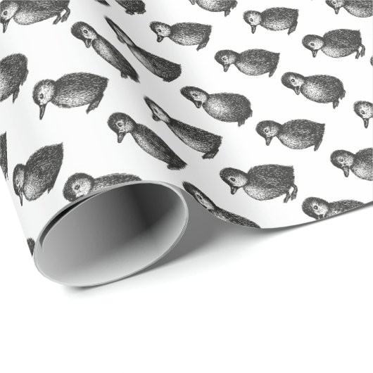 Eenden Cadeaupapier (Rol Hoek)