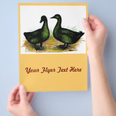 Eenden:  Cayuga paar Flyer (Hand)