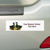 Eenden: Cayuga Pair Bumpersticker (Op auto)