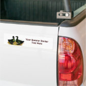 Eenden: Cayuga Pair Bumpersticker (Op Truck)