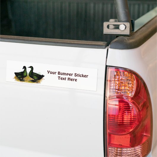 Eenden: Cayuga Pair Bumpersticker (Op Truck)
