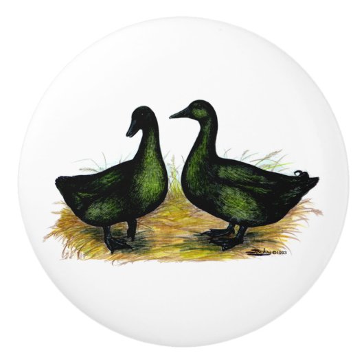 Eenden: Cayuga Pair Keramische Knop (Voorkant)