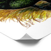 Eenden: Cayuga Pair Poster (Hoek)