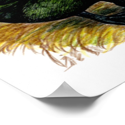 Eenden: Cayuga Pair Poster (Hoek)