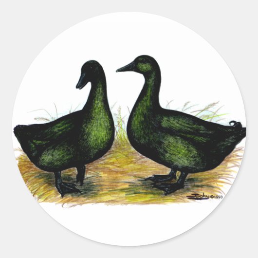 Eenden: Cayuga Pair Ronde Sticker (Voorkant)