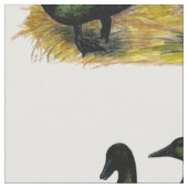 Eenden: Cayuga Pair Stof (Close Up)