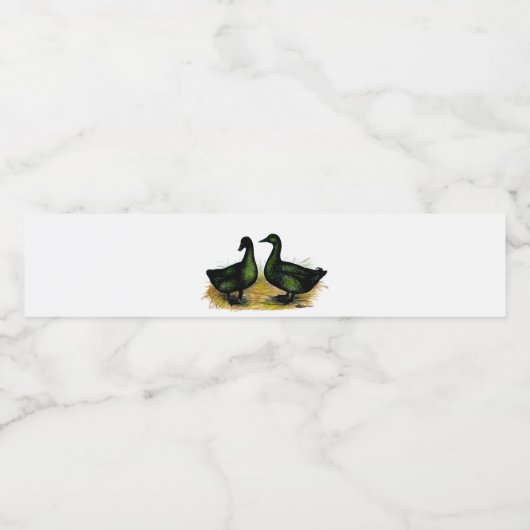 Eenden: Cayuga Pair Waterfles Etiket (Enkel label)