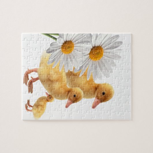 Eenden Decoratieve puzzel (Horizontaal)