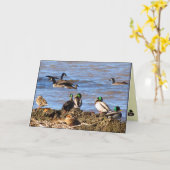 Eenden die je ganzen zien denken kaart (Gele Bloem)