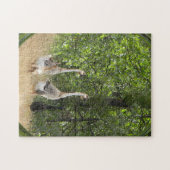 Eenden, eenden, Goose.... Legpuzzel (Horizontaal)