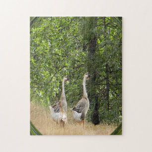 Eenden, eenden, Goose.... Legpuzzel