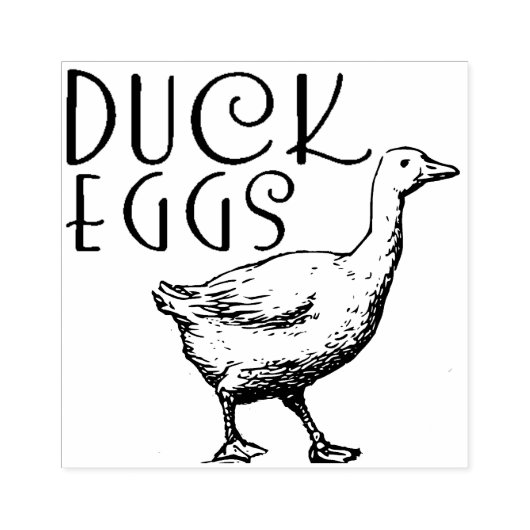 EENDEN EIEREN KARTONNEN DOOS STEMPEL (Afrduk)