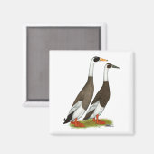 Eenden: Emery Penciled Runners Magneet (Voorkant / Achterkant)