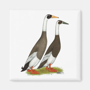 Eenden:  Emery Penciled Runners Magneet