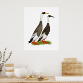 Eenden: Emery Penciled Runners Poster (Keuken)