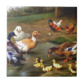 Eenden en eenden tegeltje (Voorkant)