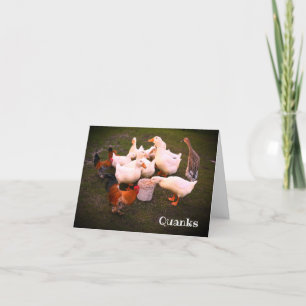 eenden en kippen die schimmels eten bedankkaart