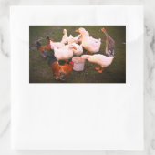 eenden en kippen die schimmels eten rechthoekige sticker (Tas)