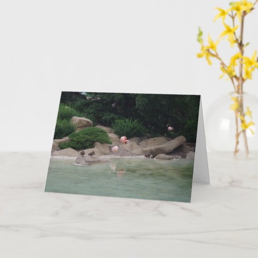 "Eenden en lamingos" Hartelijk dank Kaart (Gele Bloem)