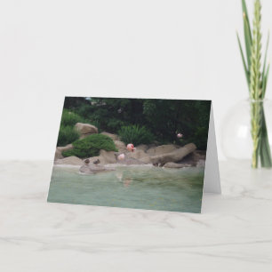 "Eenden en lamingos" Hartelijk dank Kaart