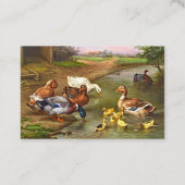 eenden en melkvee visitekaartje (Achterkant)