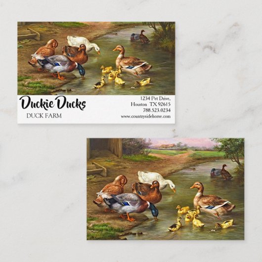 eenden en melkvee visitekaartje (Voorkant / Achterkant)