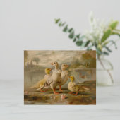 Eenden - Folie Briefkaarten (Staand Voorkant)