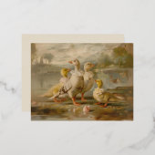 Eenden - Folie Briefkaarten (Voorkant / Achterkant)