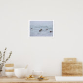 Eenden Foto Poster (Keuken)
