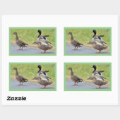 Eenden Foto Stickers (Vel)