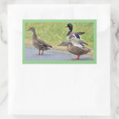Eenden Foto Stickers (Tas)
