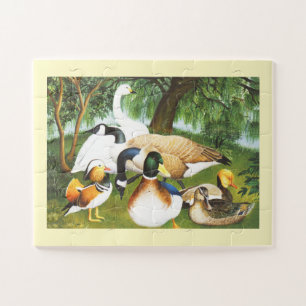 Eenden, ganzen en zwanenvogels legpuzzel