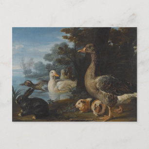 Eenden Guinee Pigs en een konijn in een gekookte L Briefkaart