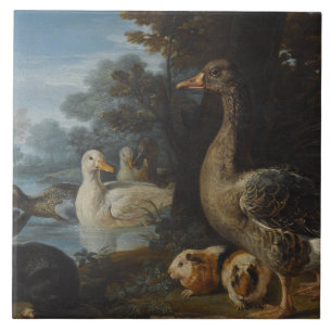 Eenden Guinee Pigs en een konijn in een gekookte L Tegeltje