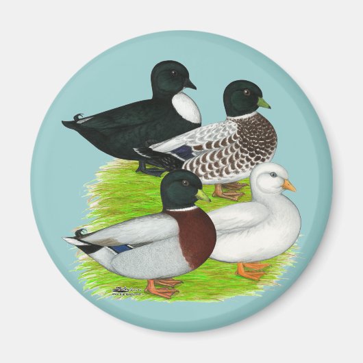Eenden: Het Kwartet van de Vraag Magneet (Voorkant)