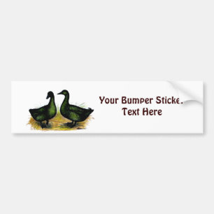 Eenden: Het Paar van Cayuga Bumpersticker