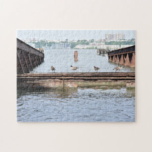 Eenden in de Hudson River New York Legpuzzel