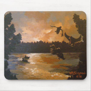 Eenden in de Muismat