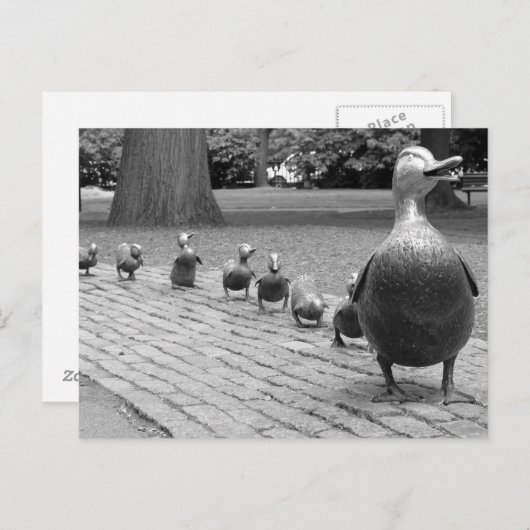 Eenden in de openbare tuin - Boston Briefkaart (Voorkant / Achterkant)
