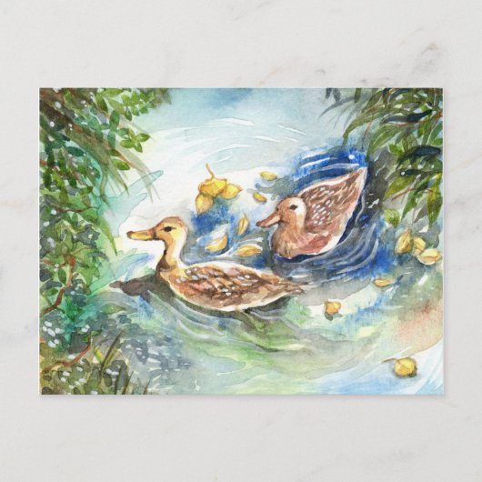 Eenden in de Pond Briefkaart (Voorkant)
