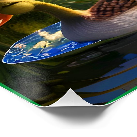 Eenden in de vijver perfect poster (Hoek)