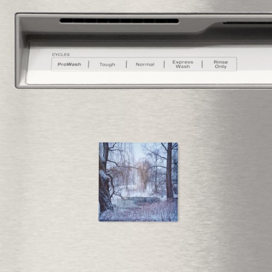 Eenden in een diepvriesinstallatie in het centrale magneet (Insitu (Vaatwasser))